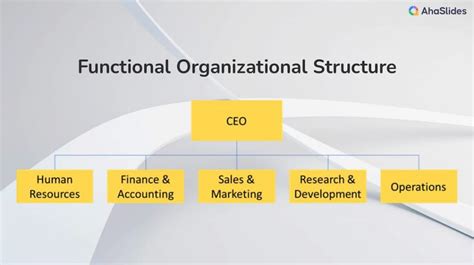 Functional Organizational Structure 的图像结果