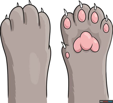Draw Cat Paws Tutorial 的图像结果