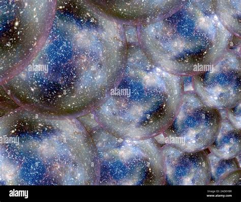 Bubble universes. Computer illustration of multiple 'bubble' universes ...