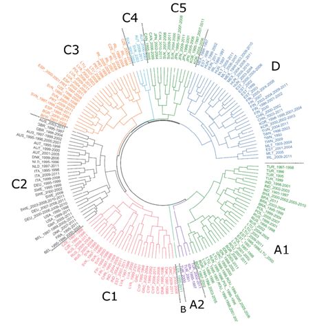 Image result for Dendrogram Linkages