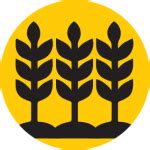 Due credit: The Indian voluntary carbon market is growing exponentially