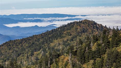 How to Sleep Near the Stars on Tennessee's Mt. Leconte