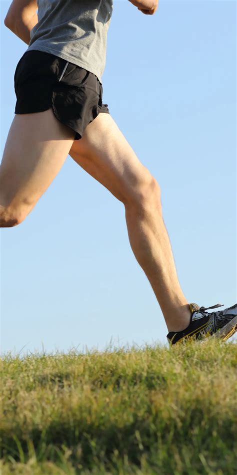 How to Perform Hip Ultrasound 的图像结果