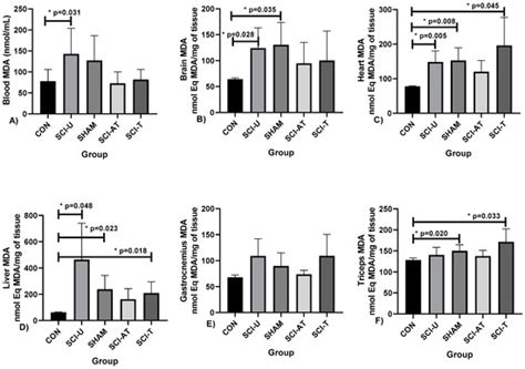 Effects of Resistance Training on Oxidative Stress Markers and Muscle ...