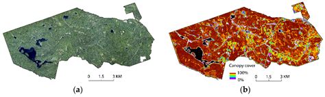 Using GEDI Waveforms for Improved TanDEM-X Forest Height Mapping: A ...