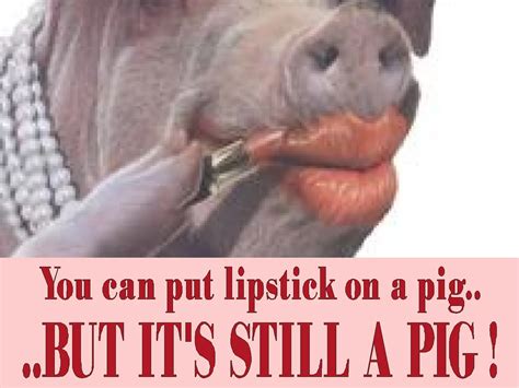 Lipstick on a Pig — Choose Wisely