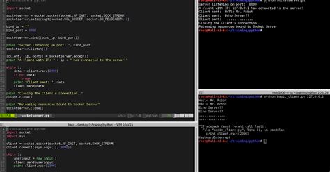 Python Sockets and Client Server 的图像结果