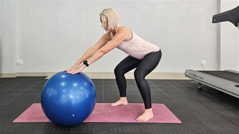 Image result for Squats Using Exercise Ball