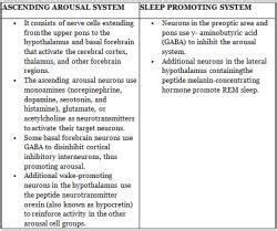 Sleep - Medical Science Optional Notes for UPSC PDF Download