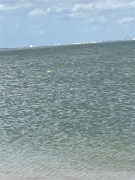 MAGNOLIA FIELDS RV RESORT - Campground Reviews & Photos - Tripadvisor