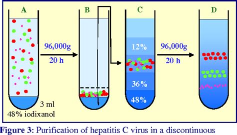 Virus Purification Process 的图像结果