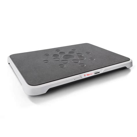 Cat Scratch Fever - Everything You Need to Know | Purina US