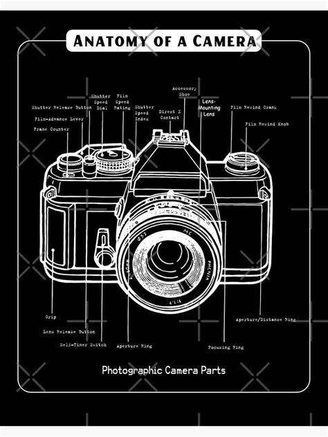 Basic Camera Diagram 的图像结果