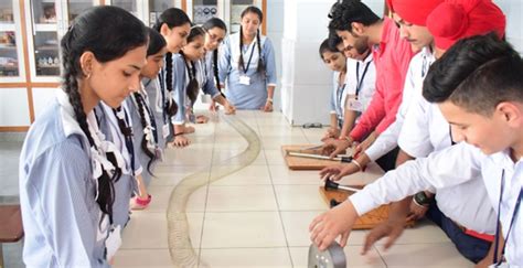 Welcome to Bcm School Dugri Road Ludhiana