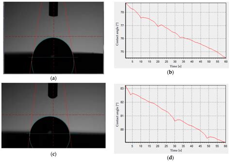 Comparison of the Performance Parameters of BioHPP® and Biocetal® Used ...