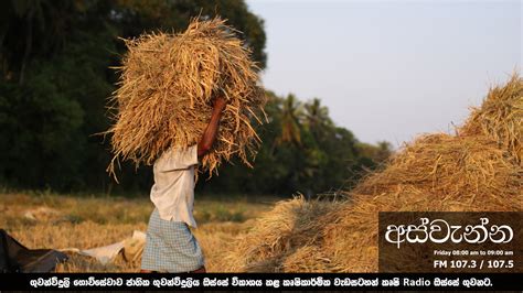 Home - Department of Agriculture Sri lanka