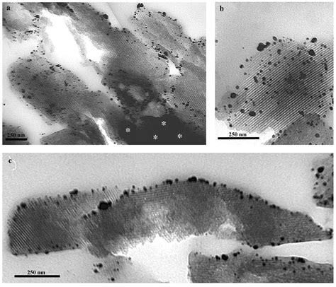 Gold Nanoparticles: A Powerful Tool to Visualize Proteins on Ordered ...