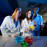 Study Neuroscience / Neurobiology Courses at University of Illinois ...