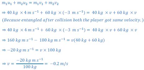 Conservation of Momentum - Numerical Problems - Class 9 PDF Download