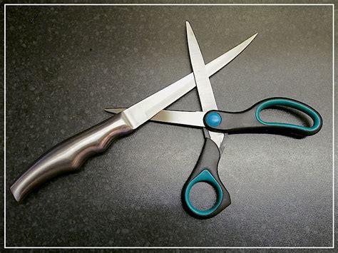 Image result for Scissors Challenge