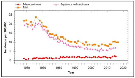 Potential Effects of Human Papillomavirus Type Substitution ...