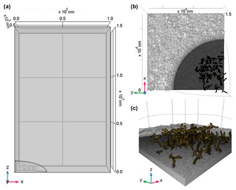 Computational Modeling and Imaging of the Intracellular Oxygen Gradient