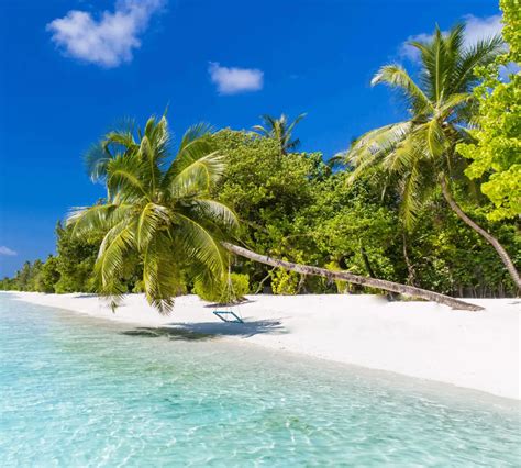 Samoan Fishing Experience - Le Vasa Resort Package | Spacifica Travel