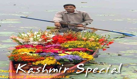 Mascot Travels - Kashmir tourism - Kashmir tourism - Ladakh Srinagar ...