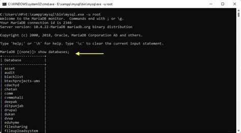 Accessing MySQL via the Command Line - Tech Hyme