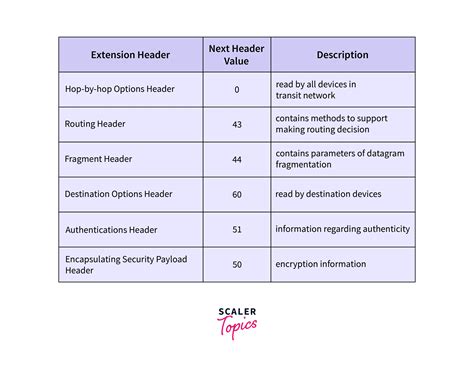 IPv6 Extension Header 的图像结果