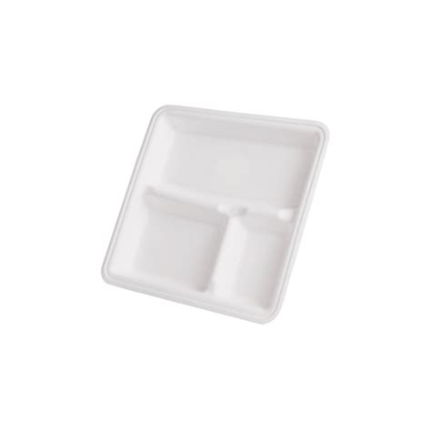 10 Inch Square 3 Compartment Bagasse Plate