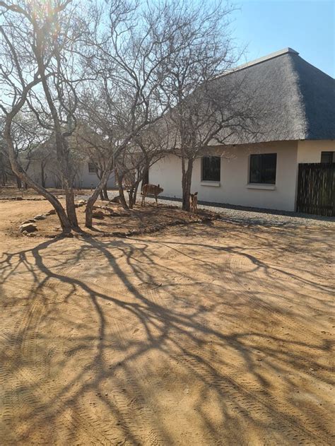 TAAIBOS BUSH LODGE (Hoedspruit) - Hotel Reviews, Photos, Rate ...