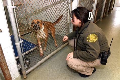 Animal Control Yorktown at Dianna Wagner blog