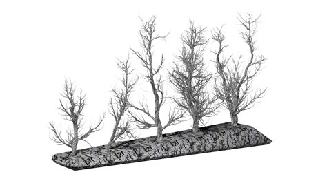 Image result for One Root 5 Tree