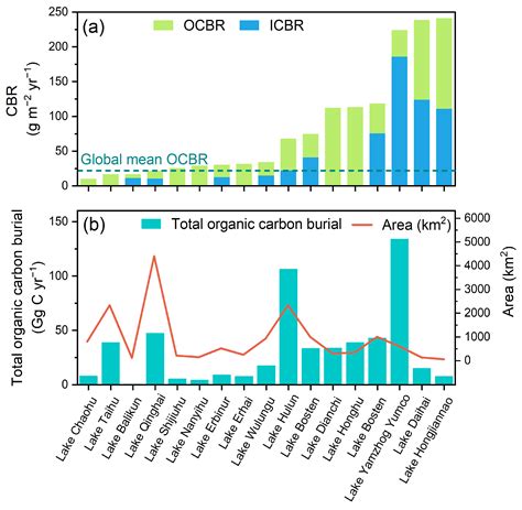 Divergent Responses of Inorganic and Organic Carbon Sinks to Climate ...
