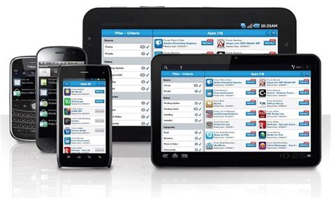 Italiani e smartphone: quali display preferiscono e come li usano