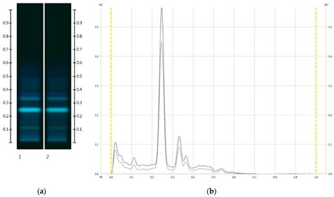 Sugar Profiling of Honeys for Authentication and Detection of ...