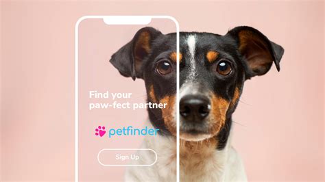 PetFinder — Rebranding | Behance