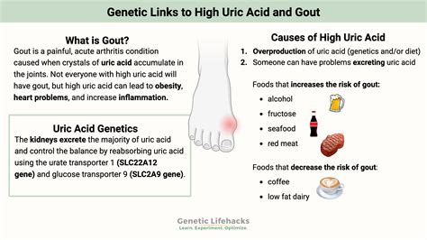 Genetic Links to High Uric Acid and Gout - Genetic Lifehacks Genetic ...