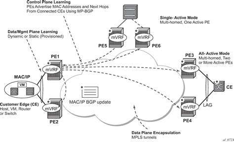 Image result for Evpn Tutorial