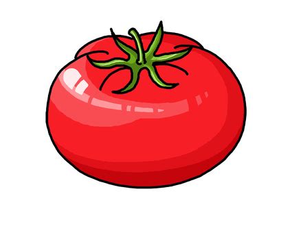 Image result for How to Stop Calculating in Python