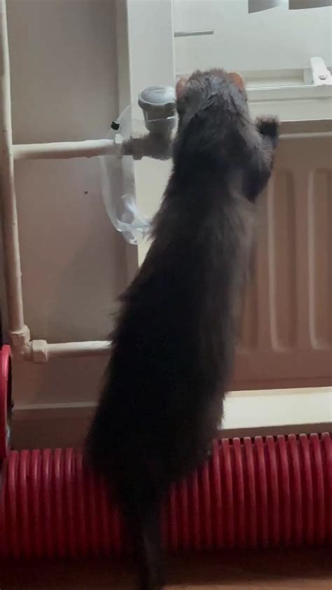 Being creative when your radiator tap is leaking and the repair is next week | Scrolller