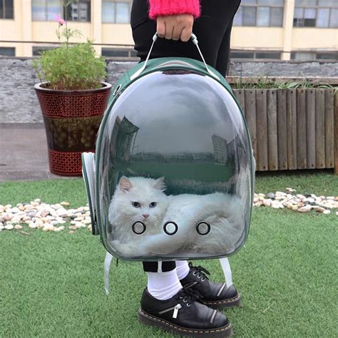 Bubble backpack for cats clear see, through cat carrier backpack
