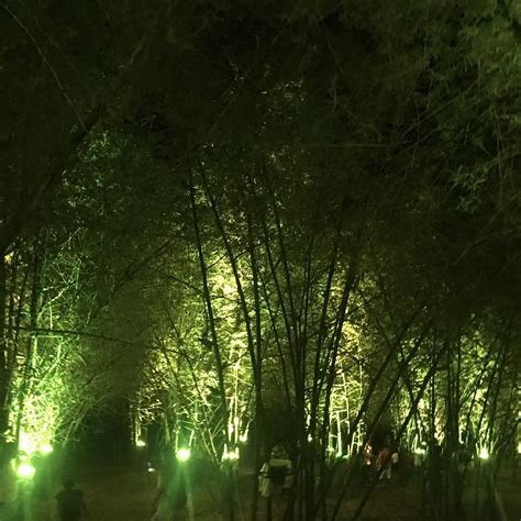 BAMBUSETUM PARK - All You Need to Know BEFORE You Go 2026 (with Photos ...