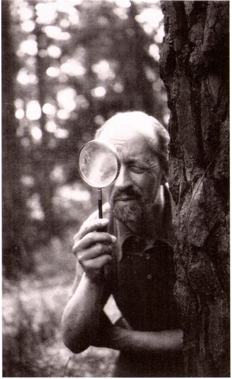 In French opera ‘Padmavati’, sweetness, dread, and lots of sighing and ...