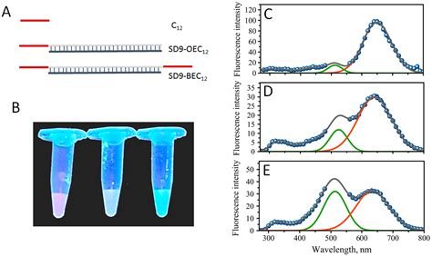First Step Towards Larger DNA-Based Assemblies of Fluorescent Silver ...