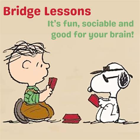 Image result for Basic Kids Bridge Lessons