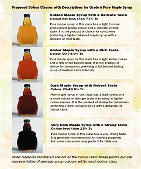 Northeast Indigenous Maple Syrup Harvesting Tradition