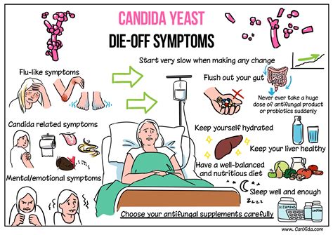 Candida Yeast Die-Off Symptoms: What You Need To Know About Herxheimer Reaction | Candida yeast ...