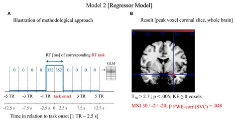 Image result for Workflow of First Level Analysis